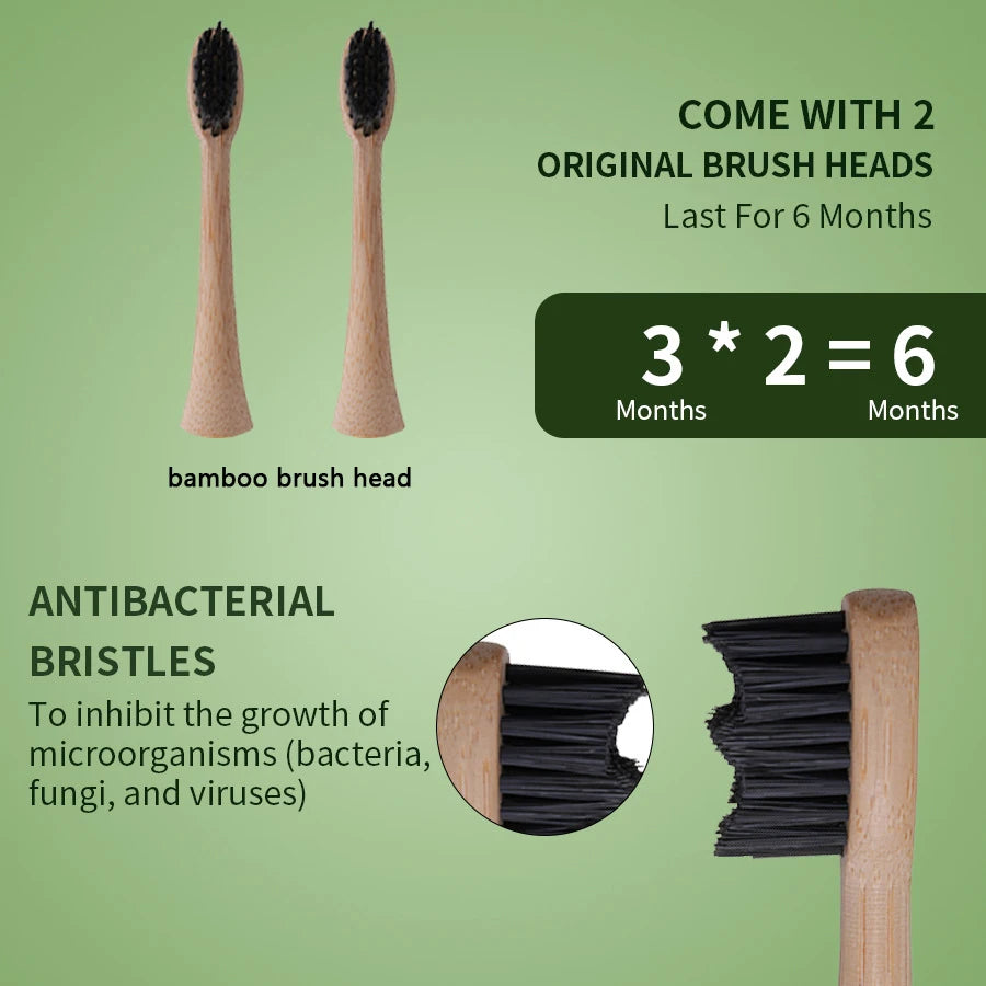 Eco-Friendly Sonic Electric Toothbrush